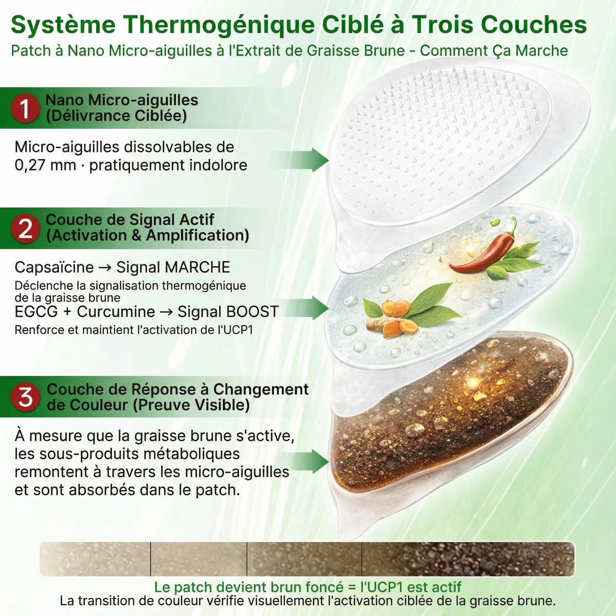 𝑶𝒇𝒇𝒊𝒄𝒊𝒂𝒍 𝑩𝒐𝒖𝒕𝒊𝒒𝒖𝒆✨ | 𝐇𝐞𝐚𝐥𝐫𝐢𝐳𝐞® Patch Microneedle Nanométrique à Extrait de Tissu Adipeux Brun (𝙐𝙣𝙚 𝙛𝙤𝙞𝙨 𝙥𝙖𝙧 𝙟𝙤𝙪𝙧, 𝙘𝙝𝙖𝙣𝙜𝙚𝙢𝙚𝙣𝙩𝙨 𝙫𝙞𝙨𝙞𝙗𝙡𝙚𝙨 𝙚𝙣 7 𝙟𝙤𝙪𝙧𝙨)🐦‍🔥13